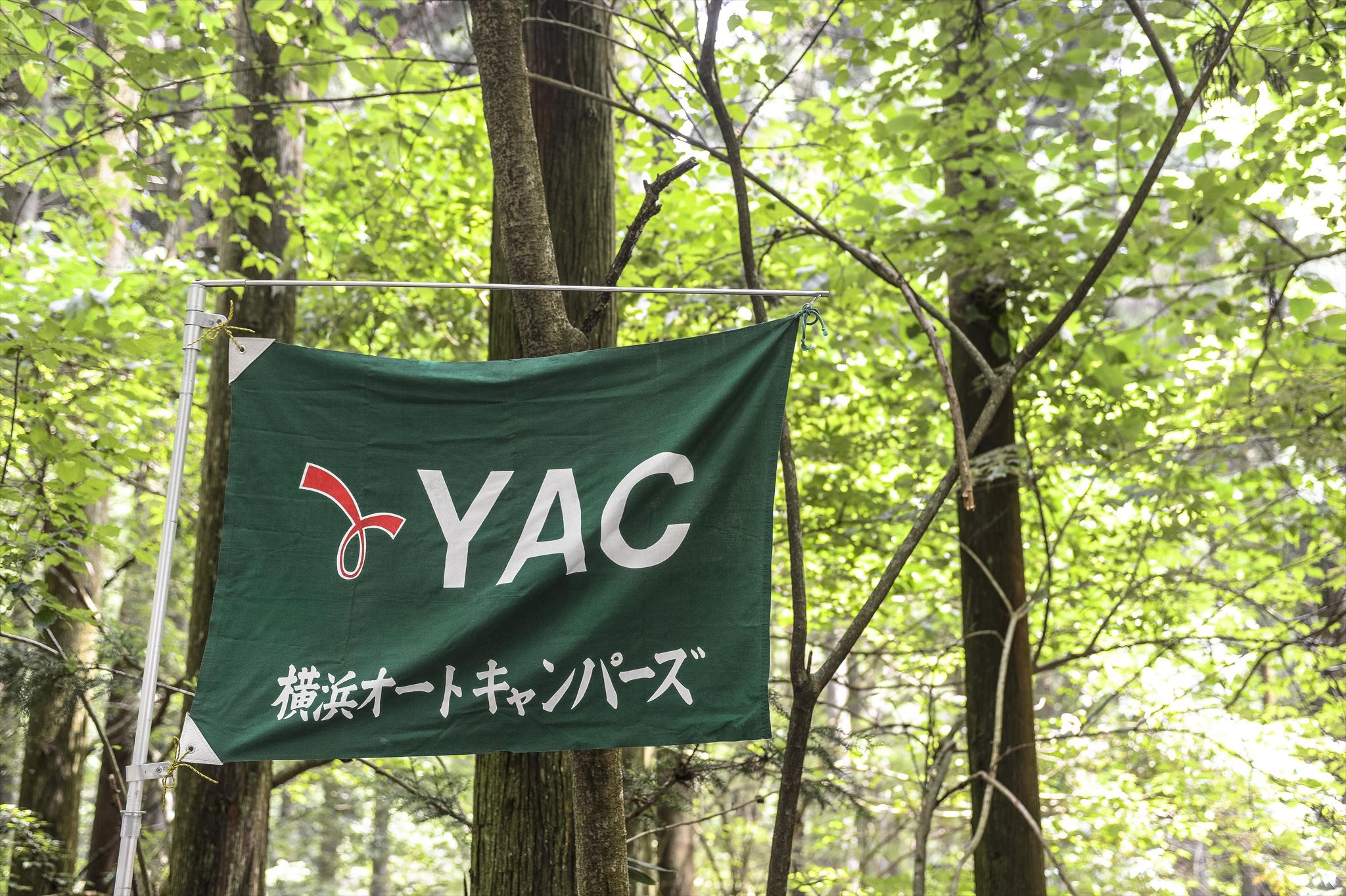 y-flag